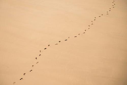 Der Abdruck - Ein Spaziergang am Strand